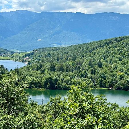 B&B Unterhabsbergerhof Апп'яно-сулла-Страда-дель-Віно Екстер'єр фото